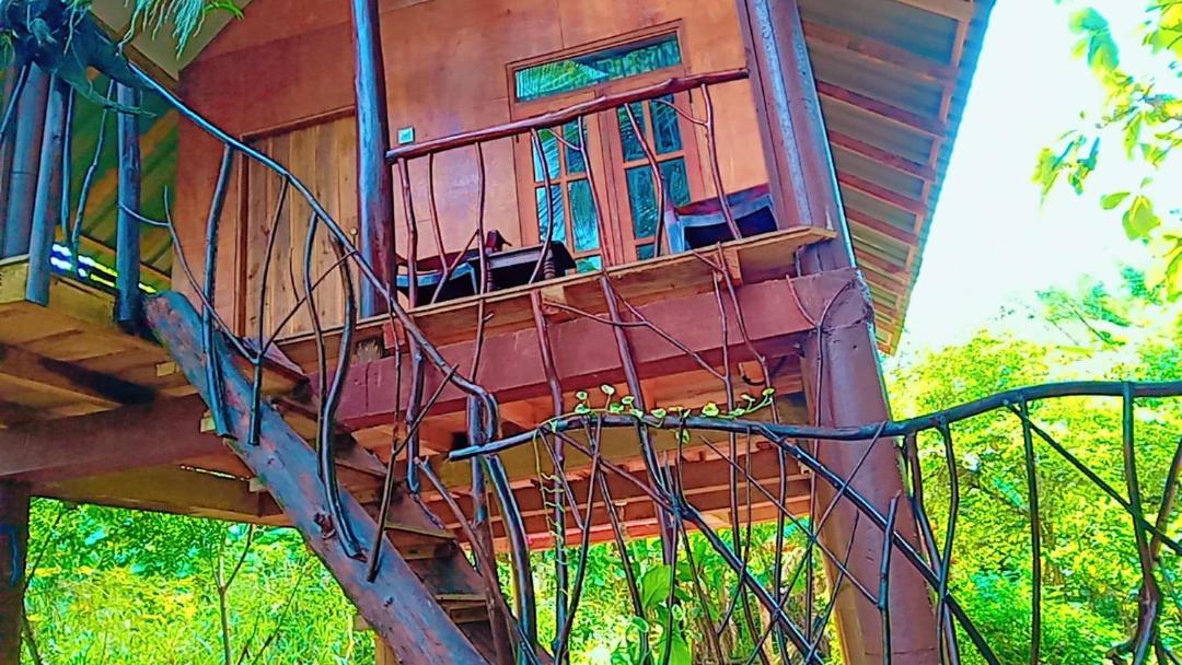 Hotel Sigiri Aliya Tree House Sigiriya Exterior foto