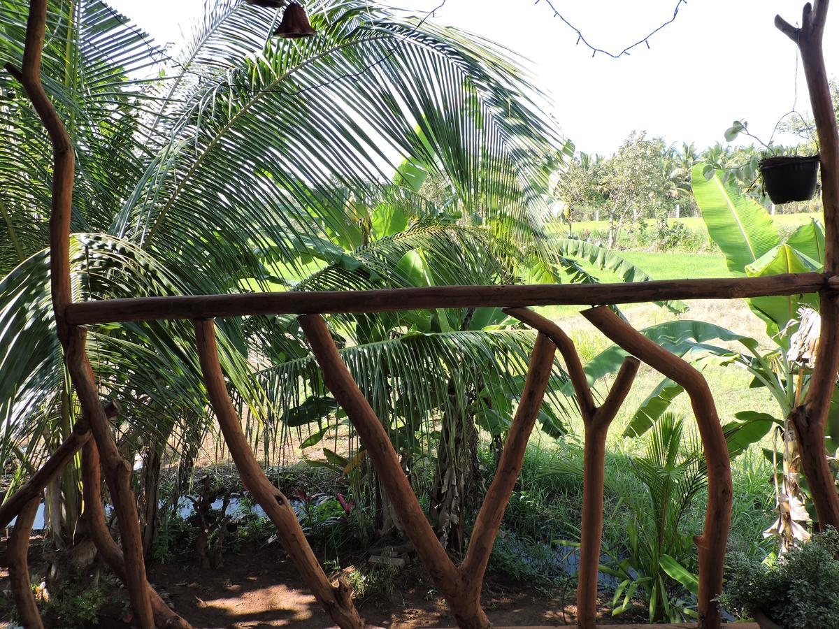 Sigiri Aliya Tree House Hotel Sigiriya Exterior foto