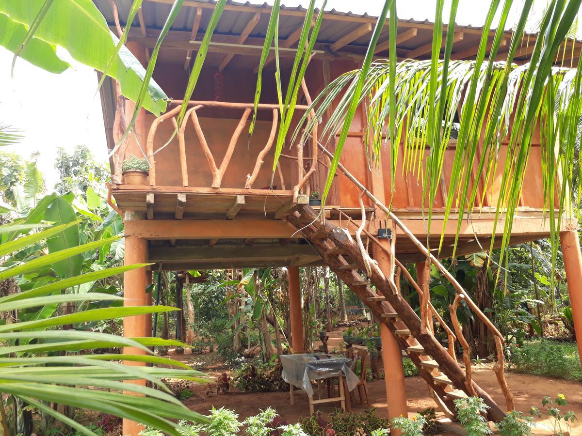 Sigiri Aliya Tree House Hotel Sigiriya Exterior foto